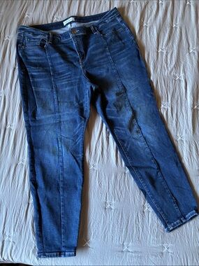 Lane Bryant Skinny Jeans
